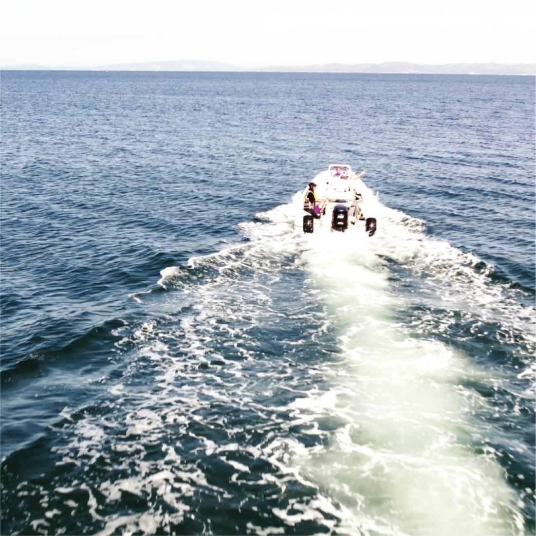 海4